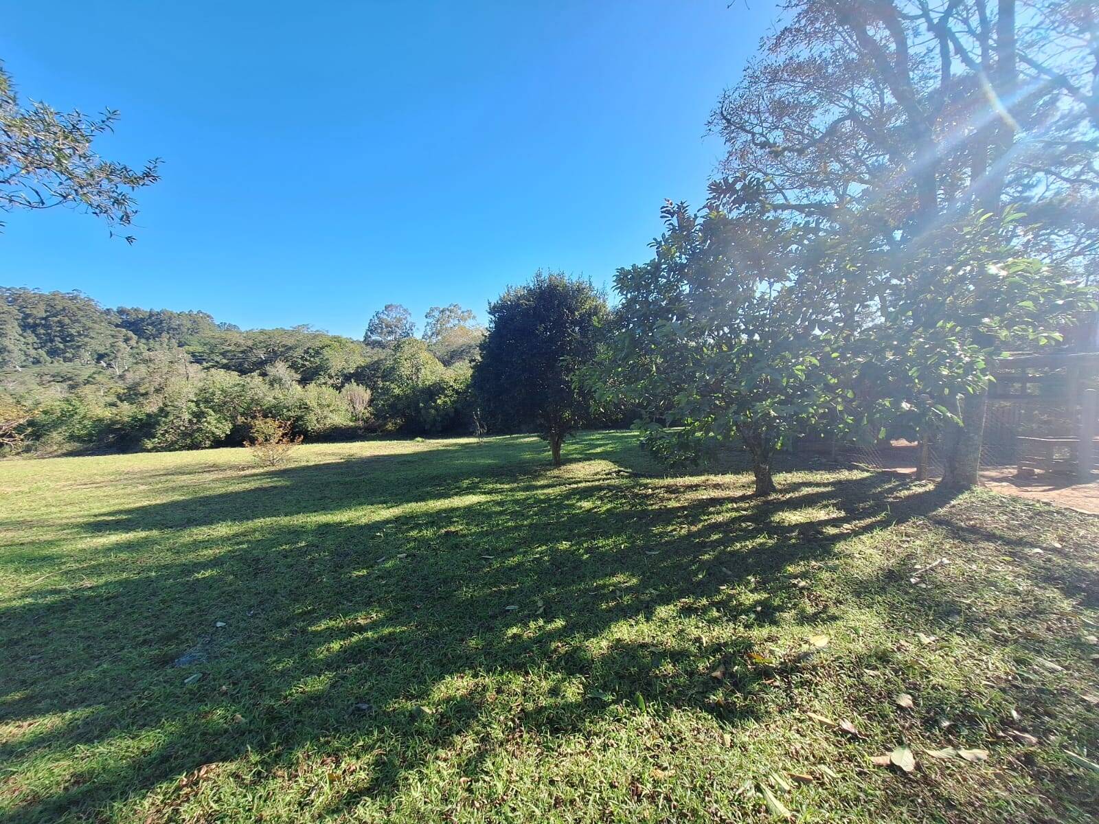 Sítio à venda com 5 quartos, 500m² - Foto 2