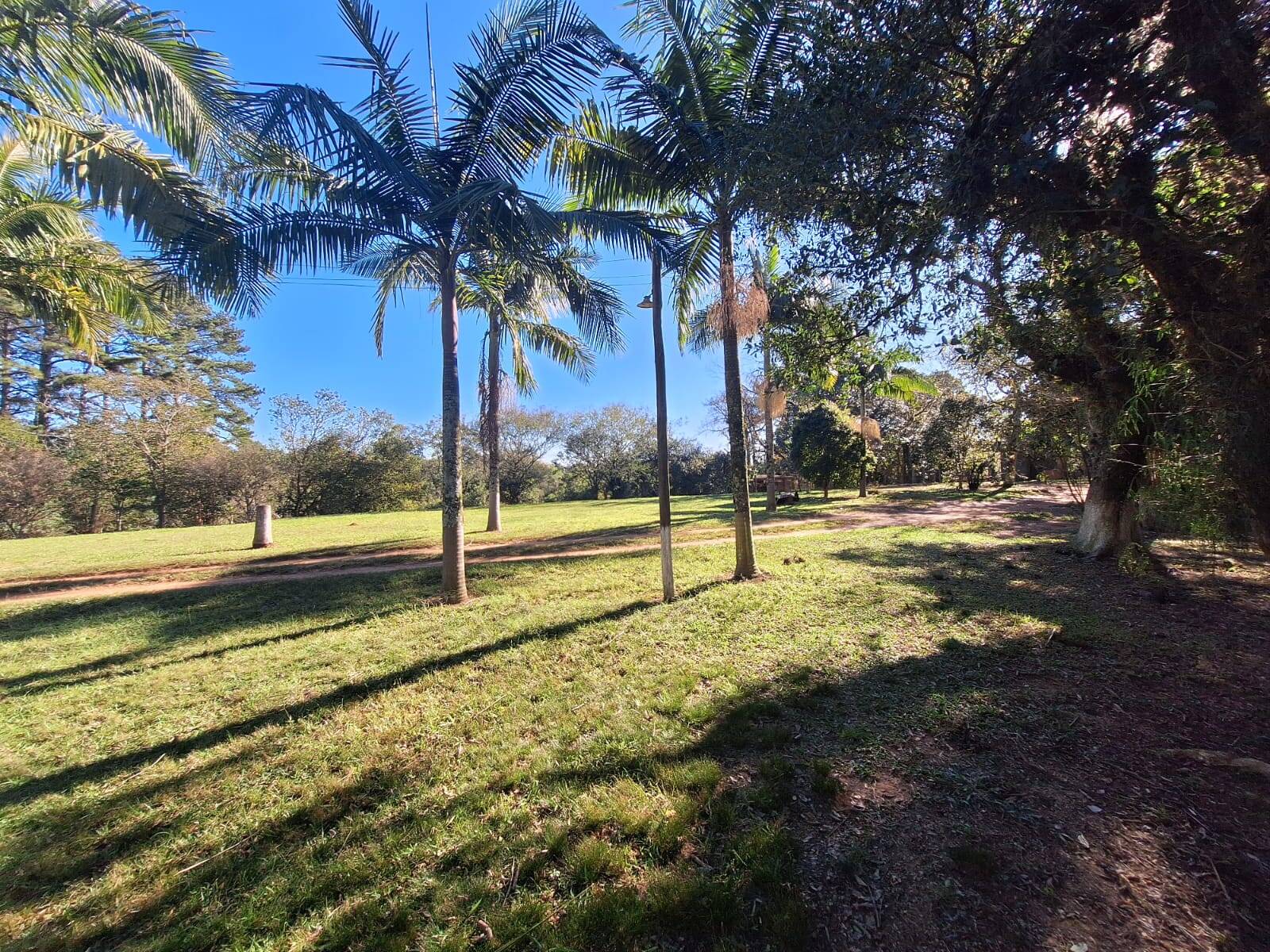 Sítio à venda com 5 quartos, 500m² - Foto 1