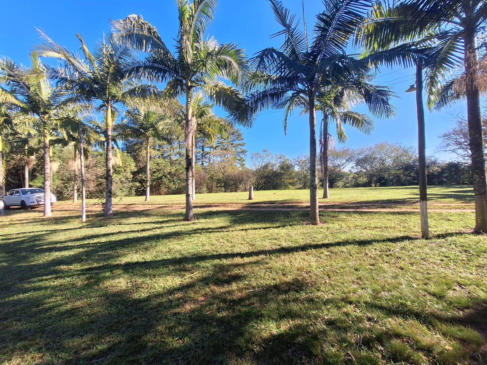 Sítio à venda com 5 quartos, 500m² - Foto 4