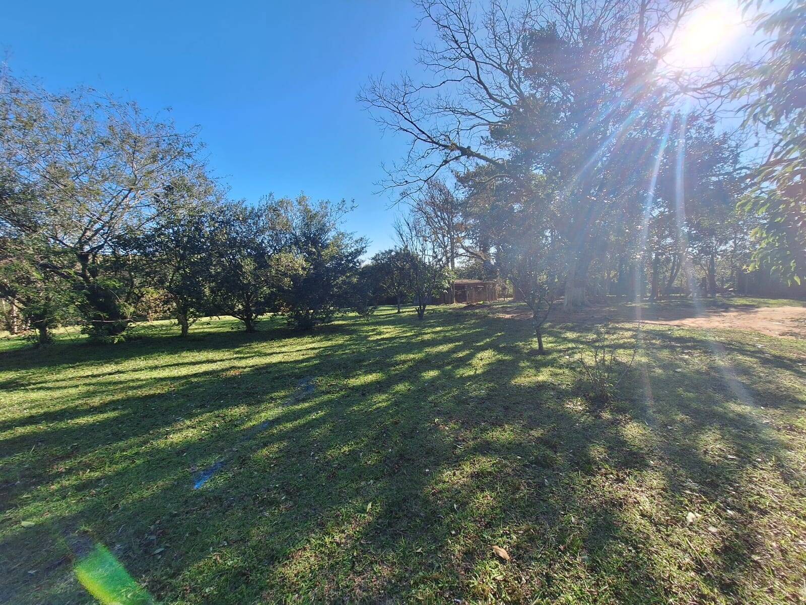 Sítio à venda com 5 quartos, 500m² - Foto 5