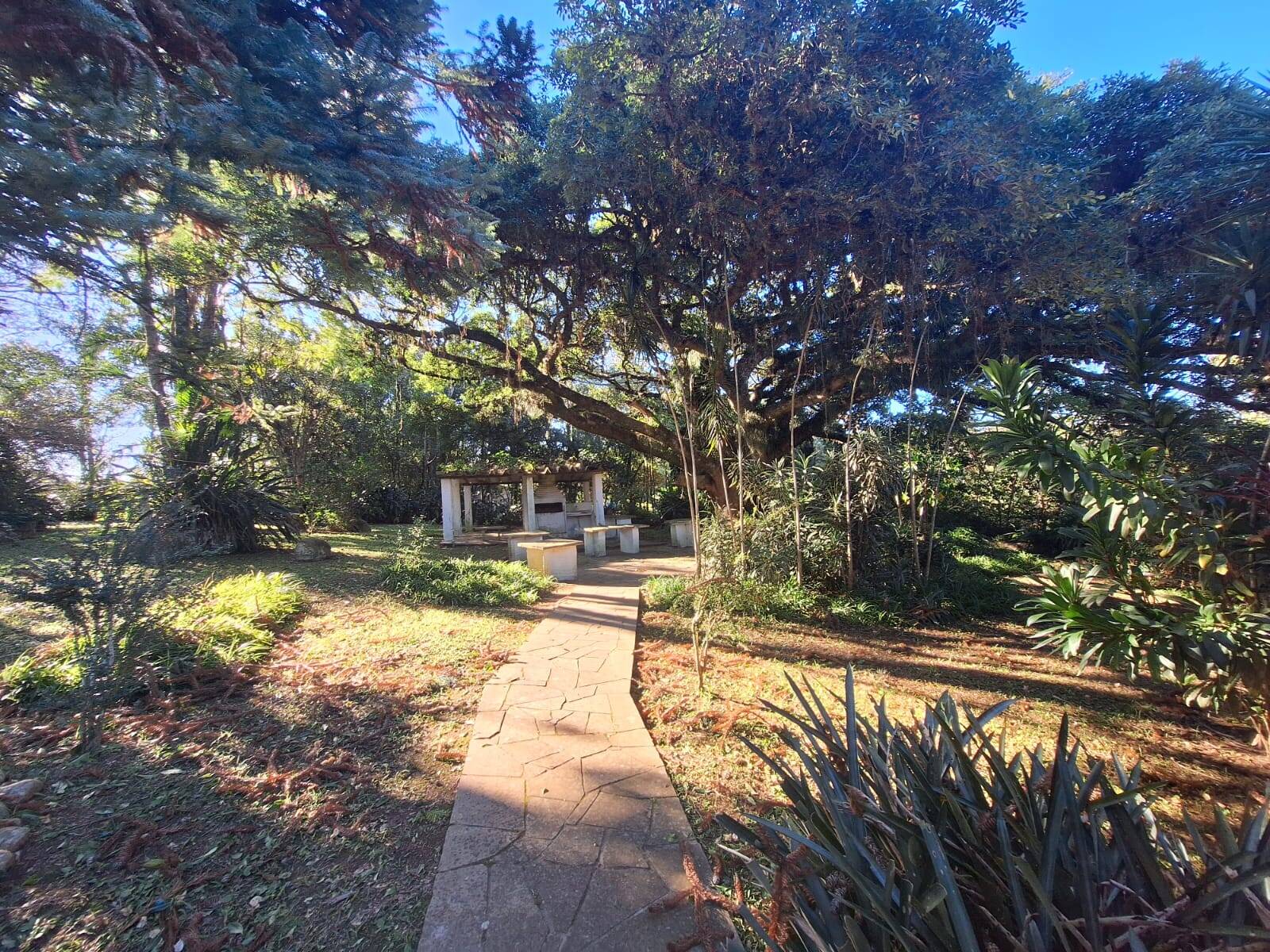 Sítio à venda com 5 quartos, 500m² - Foto 14