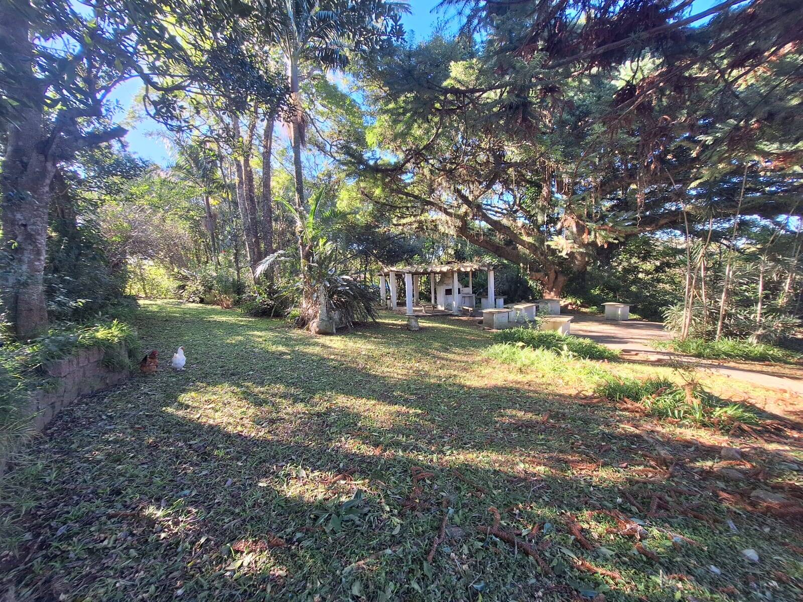Sítio à venda com 5 quartos, 500m² - Foto 15