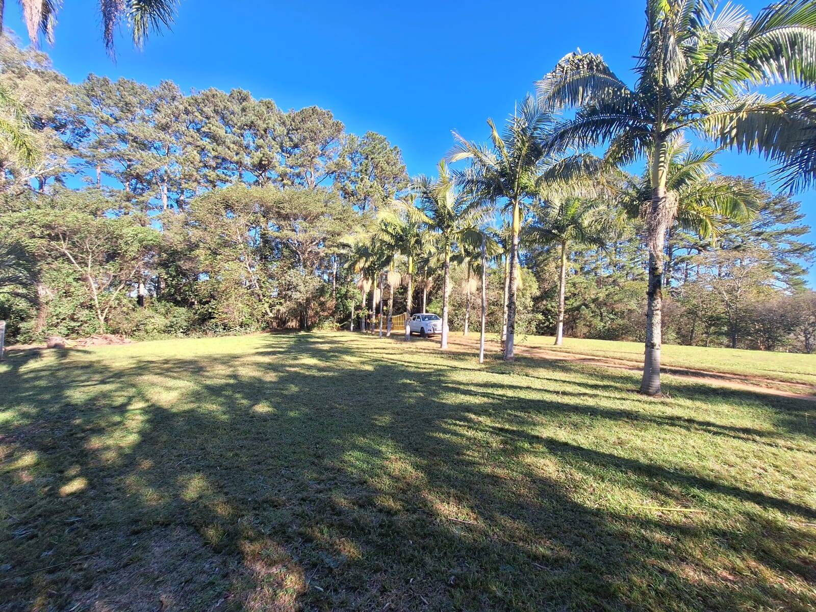 Sítio à venda com 5 quartos, 500m² - Foto 18