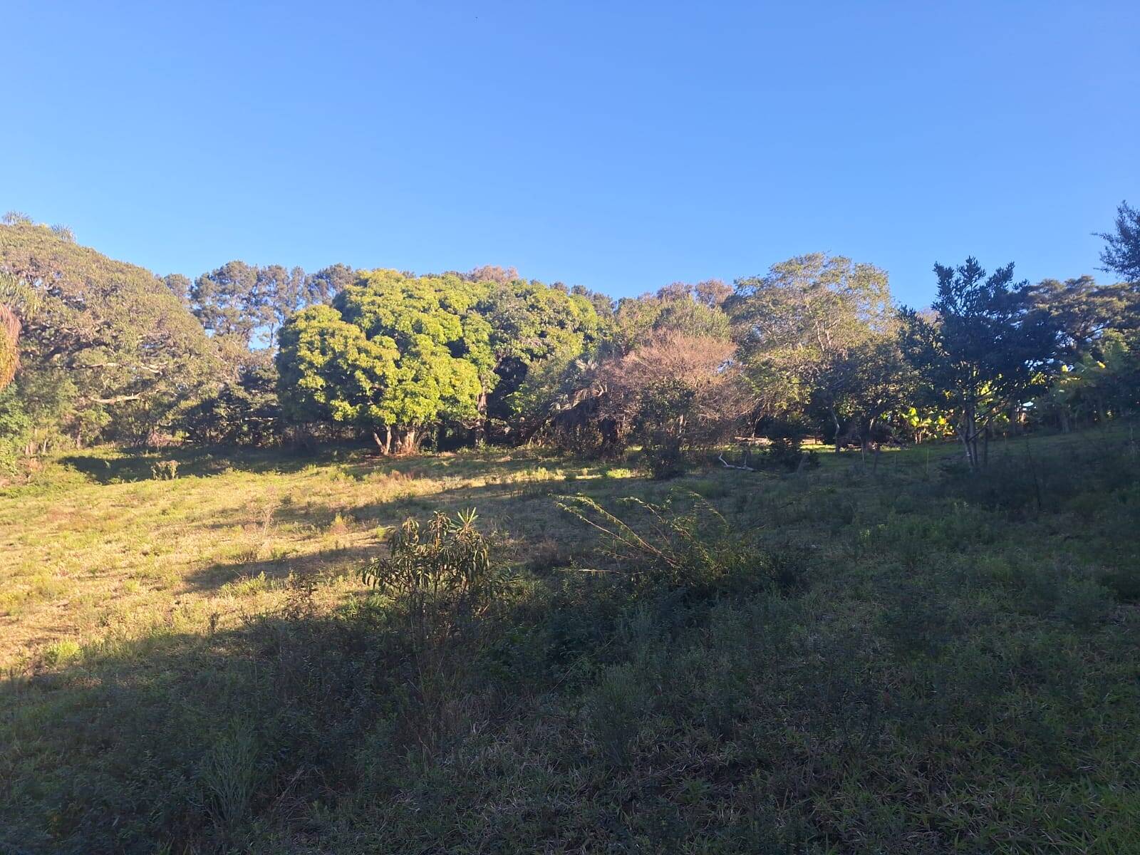 Sítio à venda com 5 quartos, 500m² - Foto 33