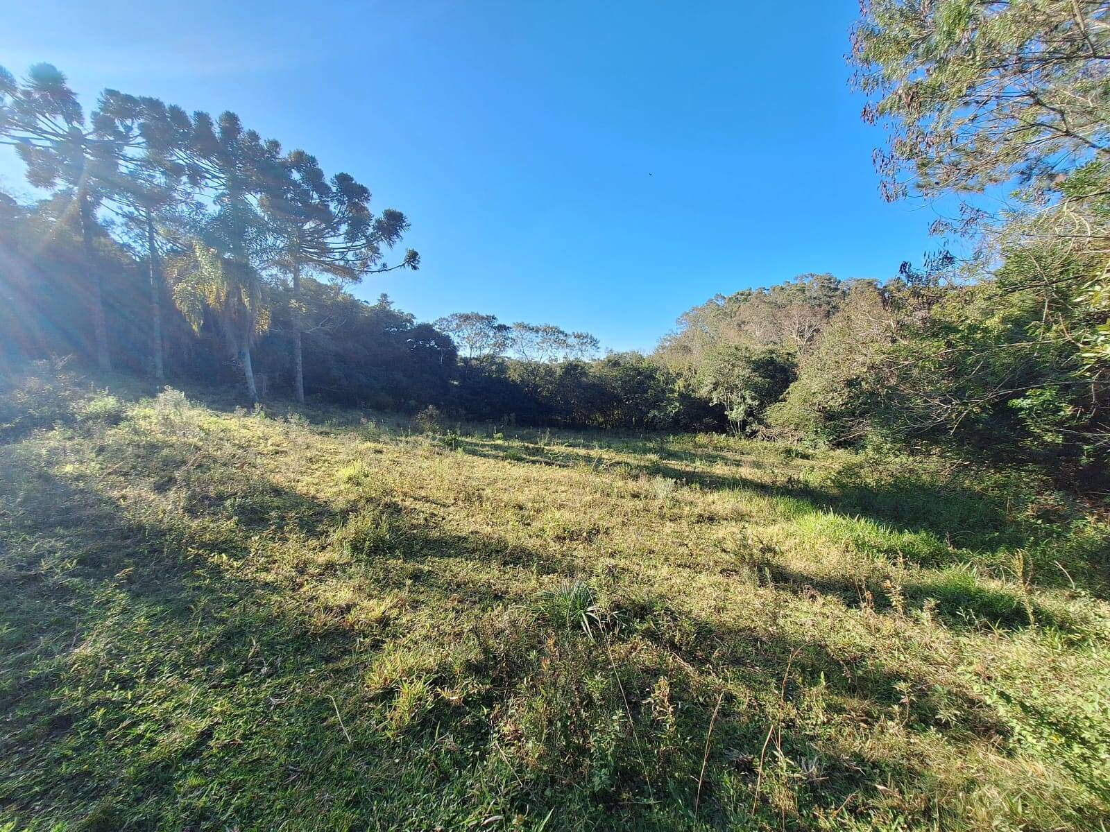 Sítio à venda com 5 quartos, 500m² - Foto 35