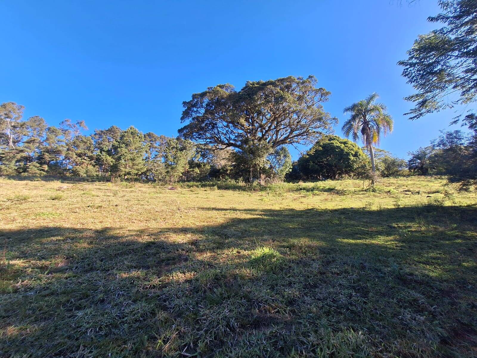 Sítio à venda com 5 quartos, 500m² - Foto 37