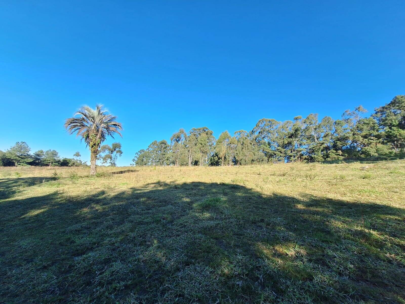 Sítio à venda com 5 quartos, 500m² - Foto 38