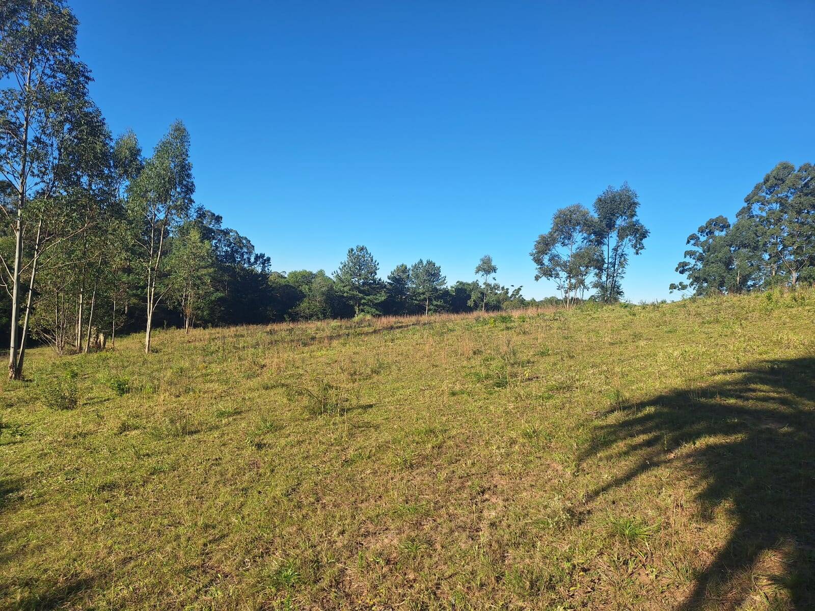 Sítio à venda com 5 quartos, 500m² - Foto 39