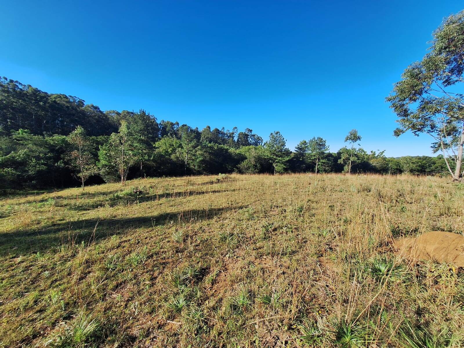 Sítio à venda com 5 quartos, 500m² - Foto 40