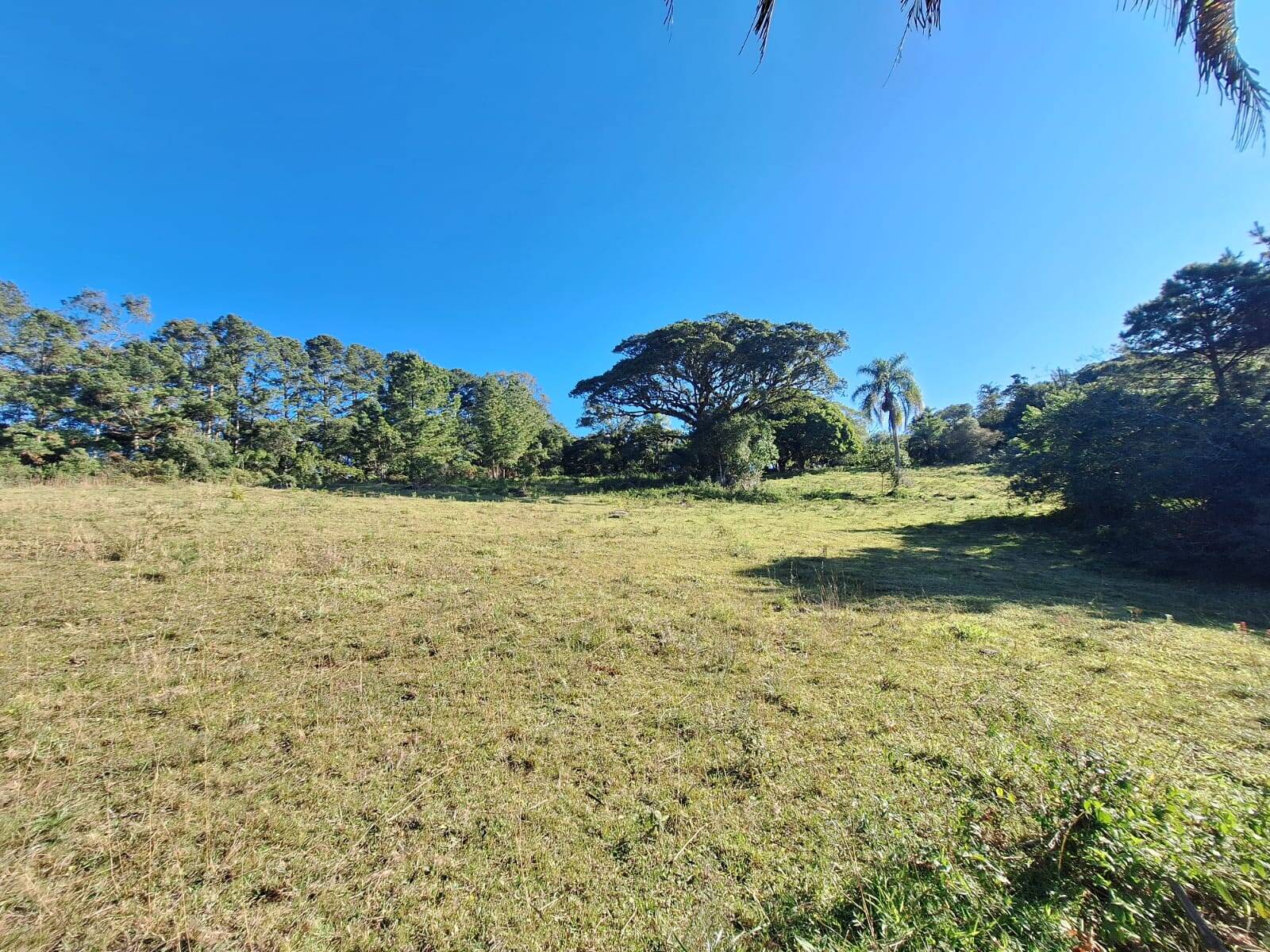 Sítio à venda com 5 quartos, 500m² - Foto 42