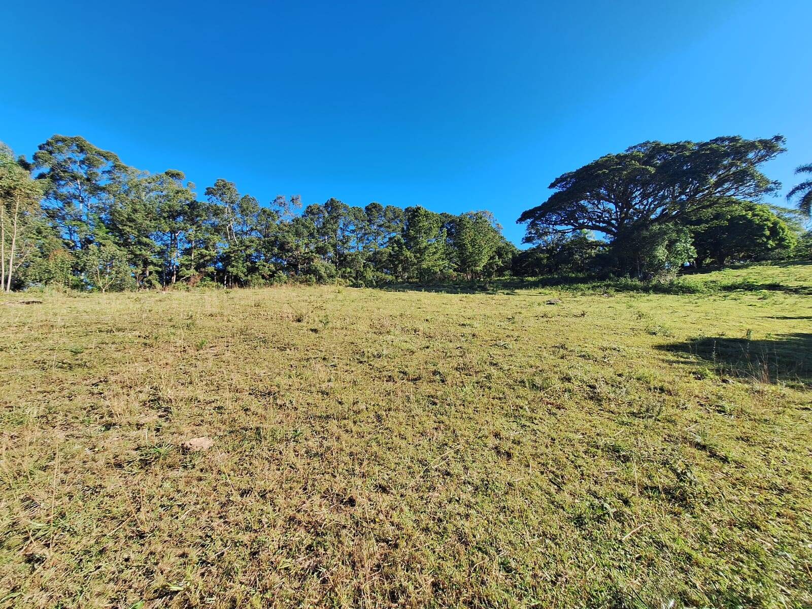 Sítio à venda com 5 quartos, 500m² - Foto 43