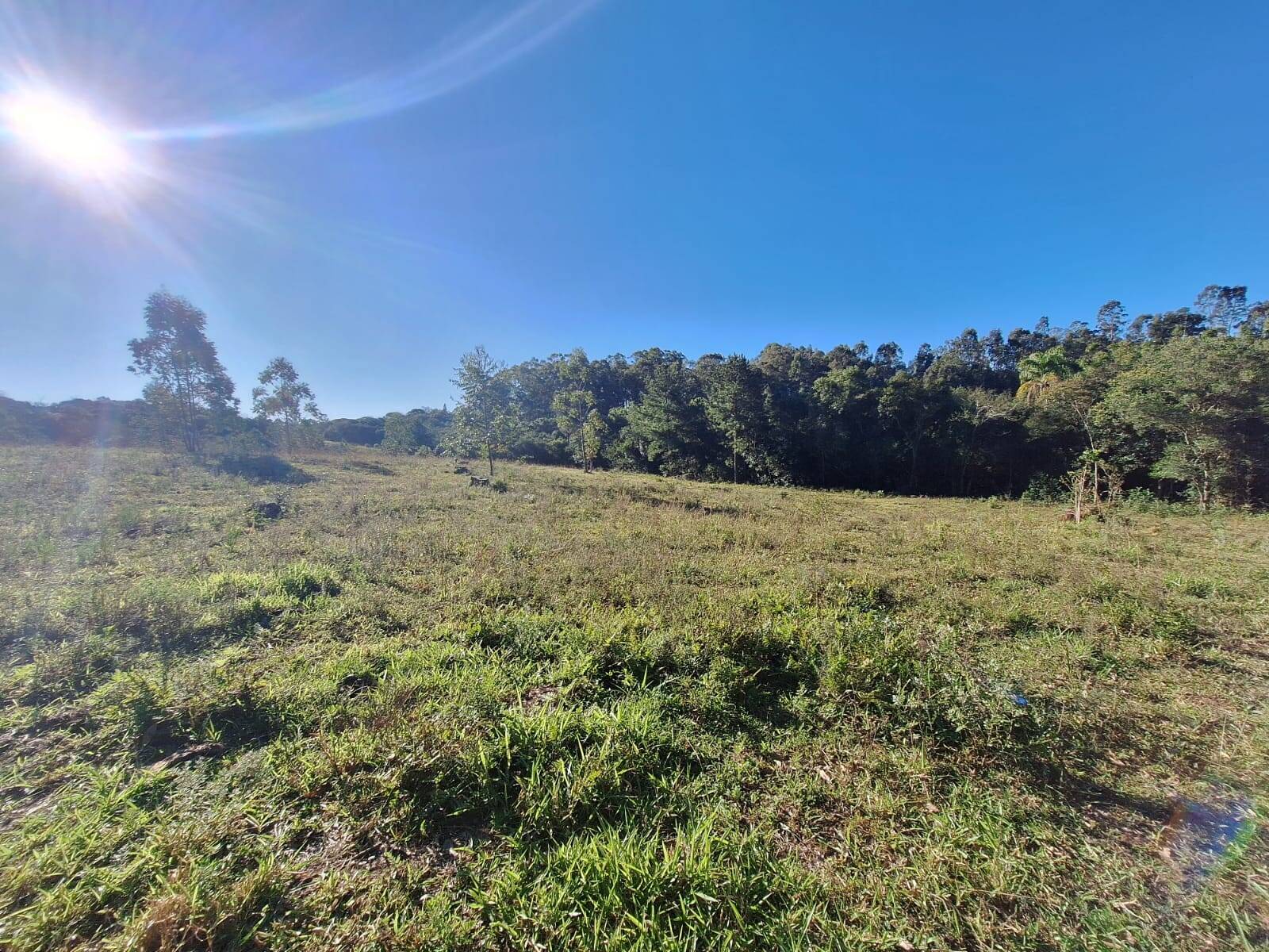 Sítio à venda com 5 quartos, 500m² - Foto 44
