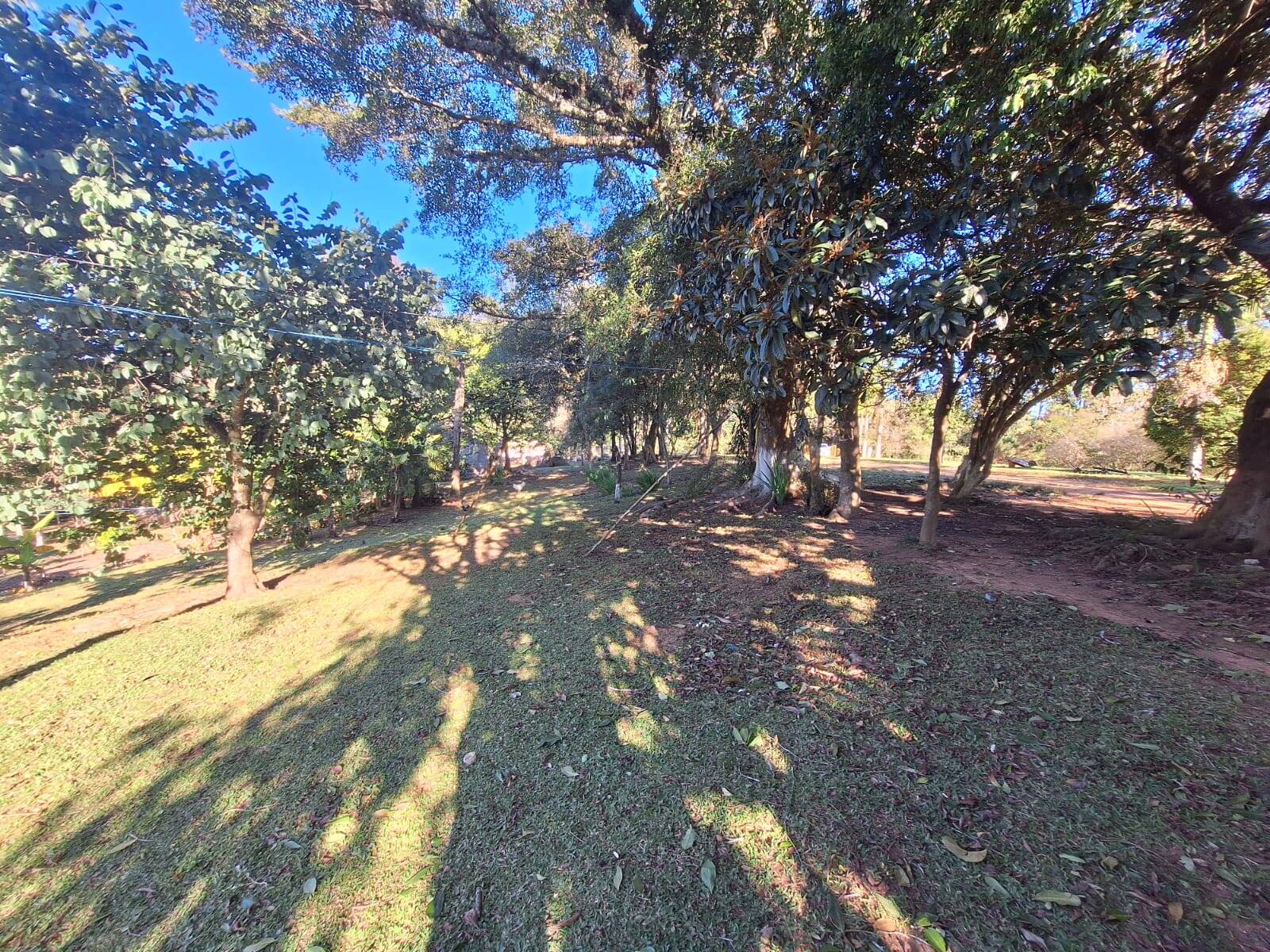 Sítio à venda com 5 quartos, 500m² - Foto 45