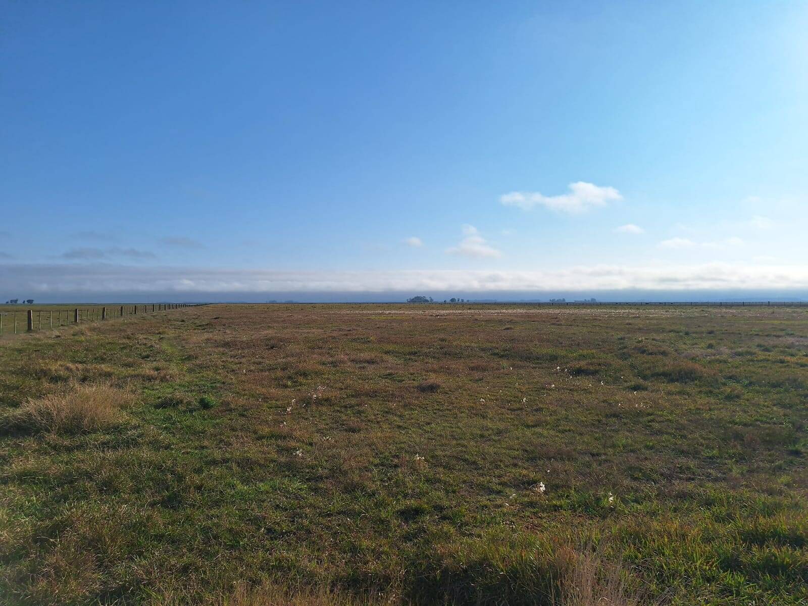 Terreno, 130 m² - Foto 3