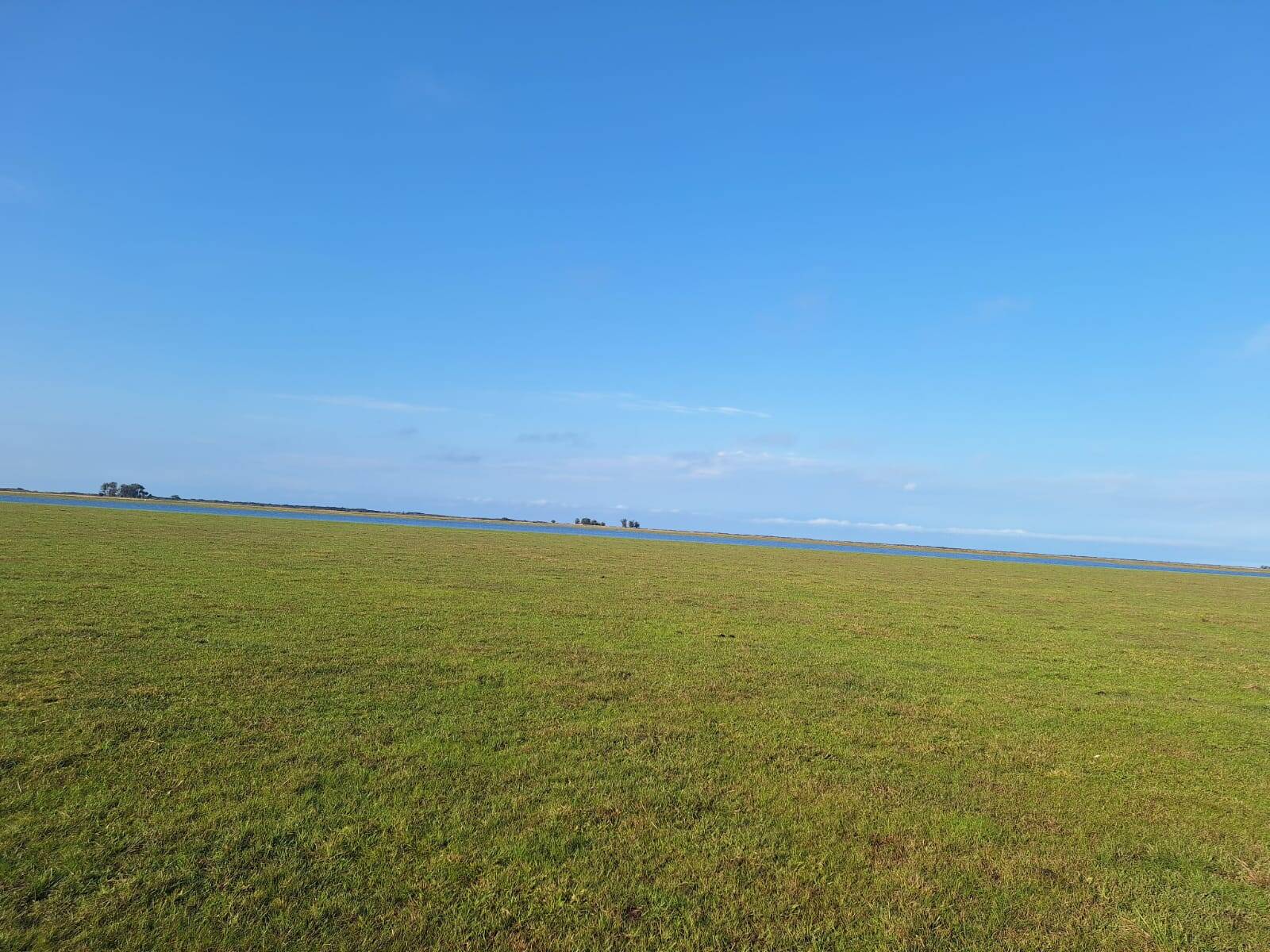 Terreno, 130 m² - Foto 7