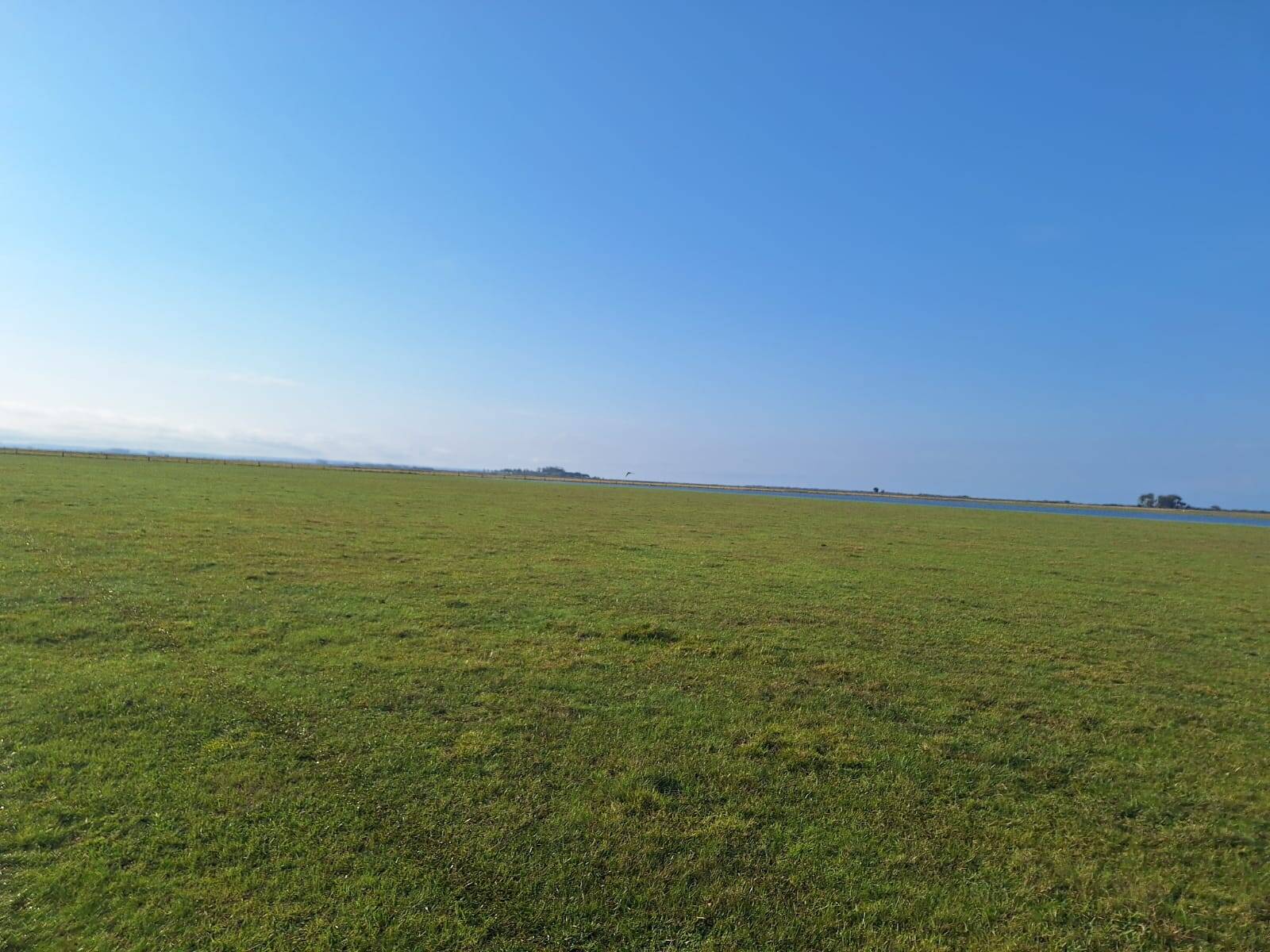 Terreno, 130 m² - Foto 8