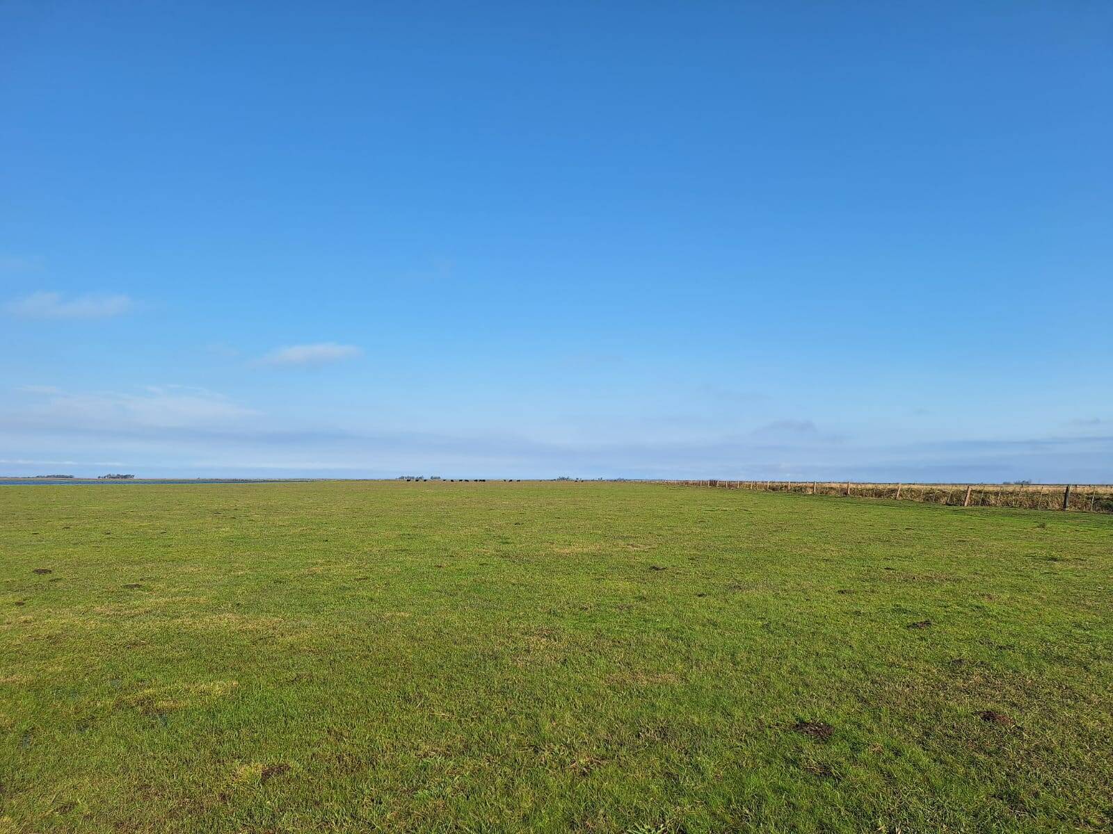 Terreno, 130 m² - Foto 9