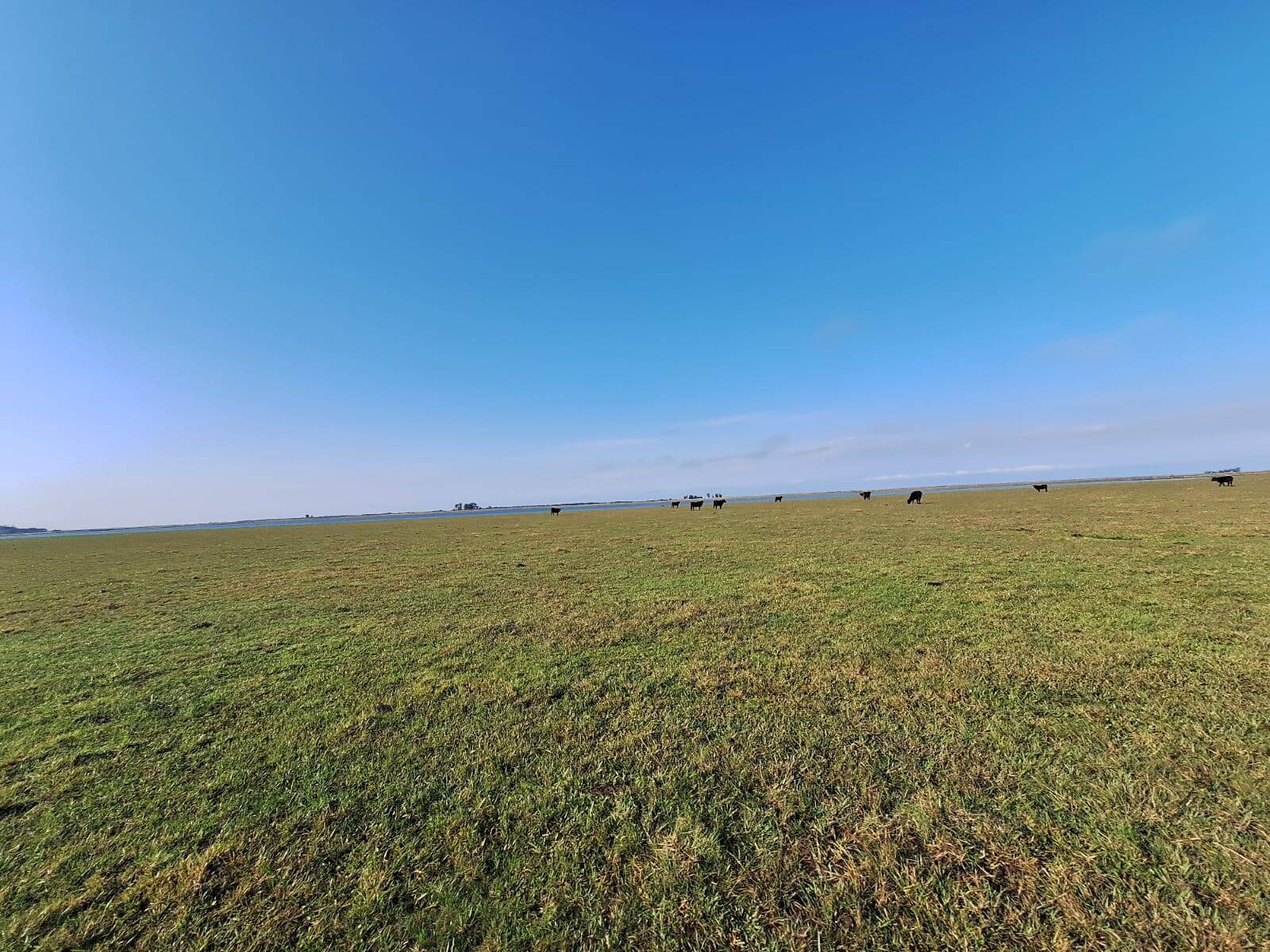 Terreno, 130 m² - Foto 12