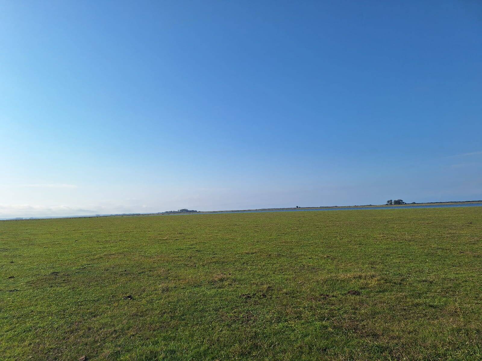 Terreno, 130 m² - Foto 10