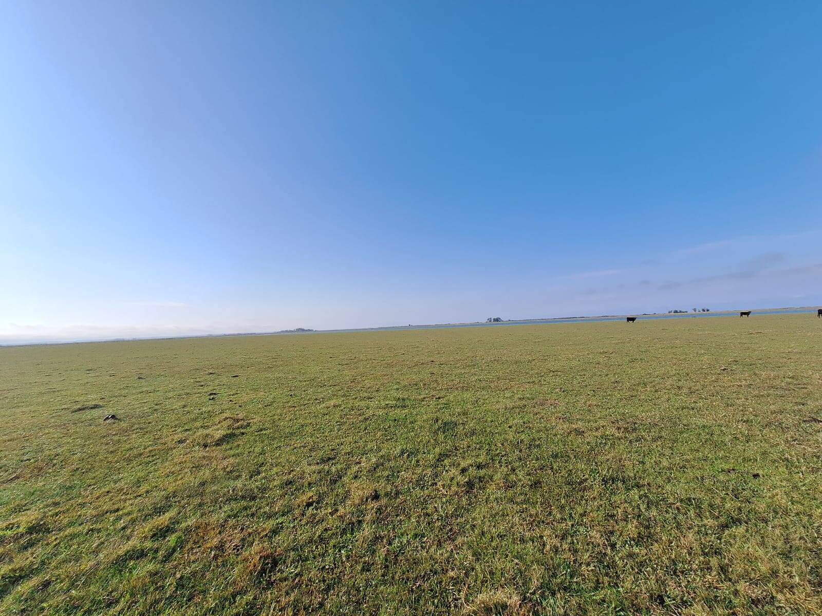 Terreno, 130 m² - Foto 11