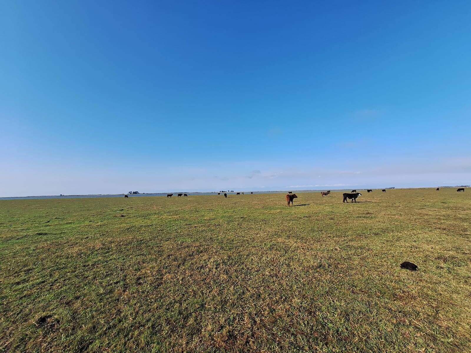 Terreno, 130 m² - Foto 14