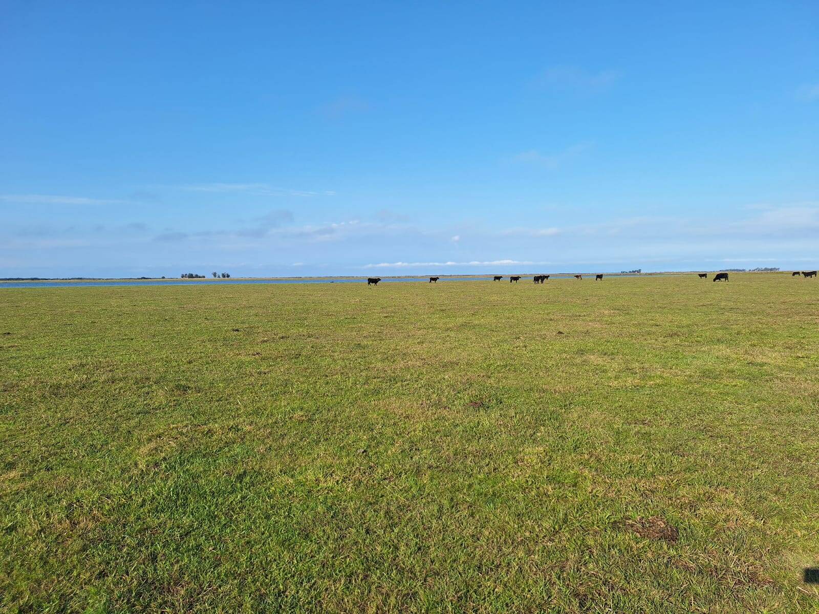 Terreno, 130 m² - Foto 15