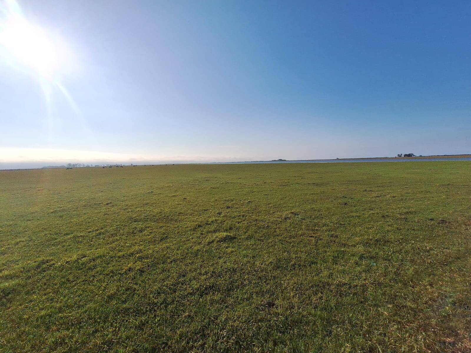 Terreno, 130 m² - Foto 5