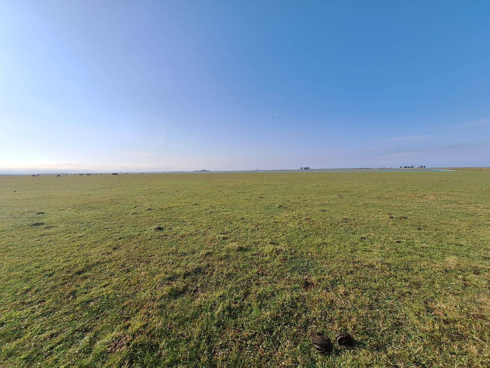 Terreno, 130 m² - Foto 16