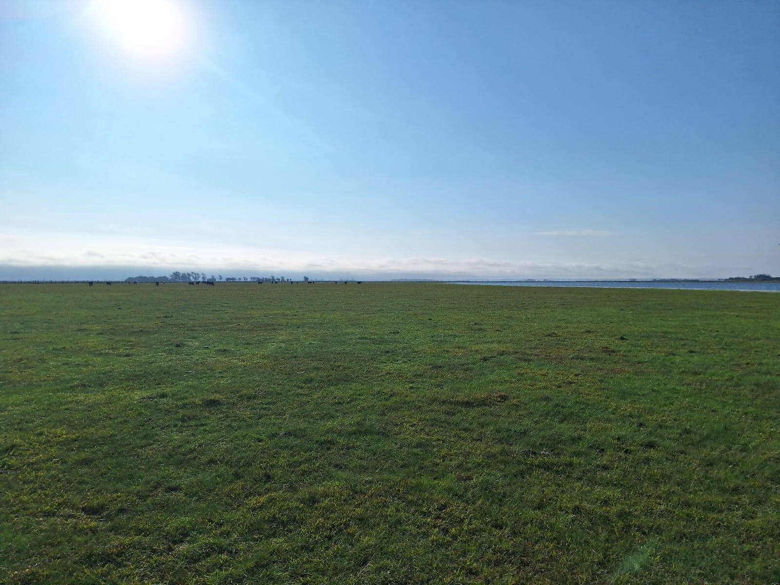 Terreno, 130 m² - Foto 4