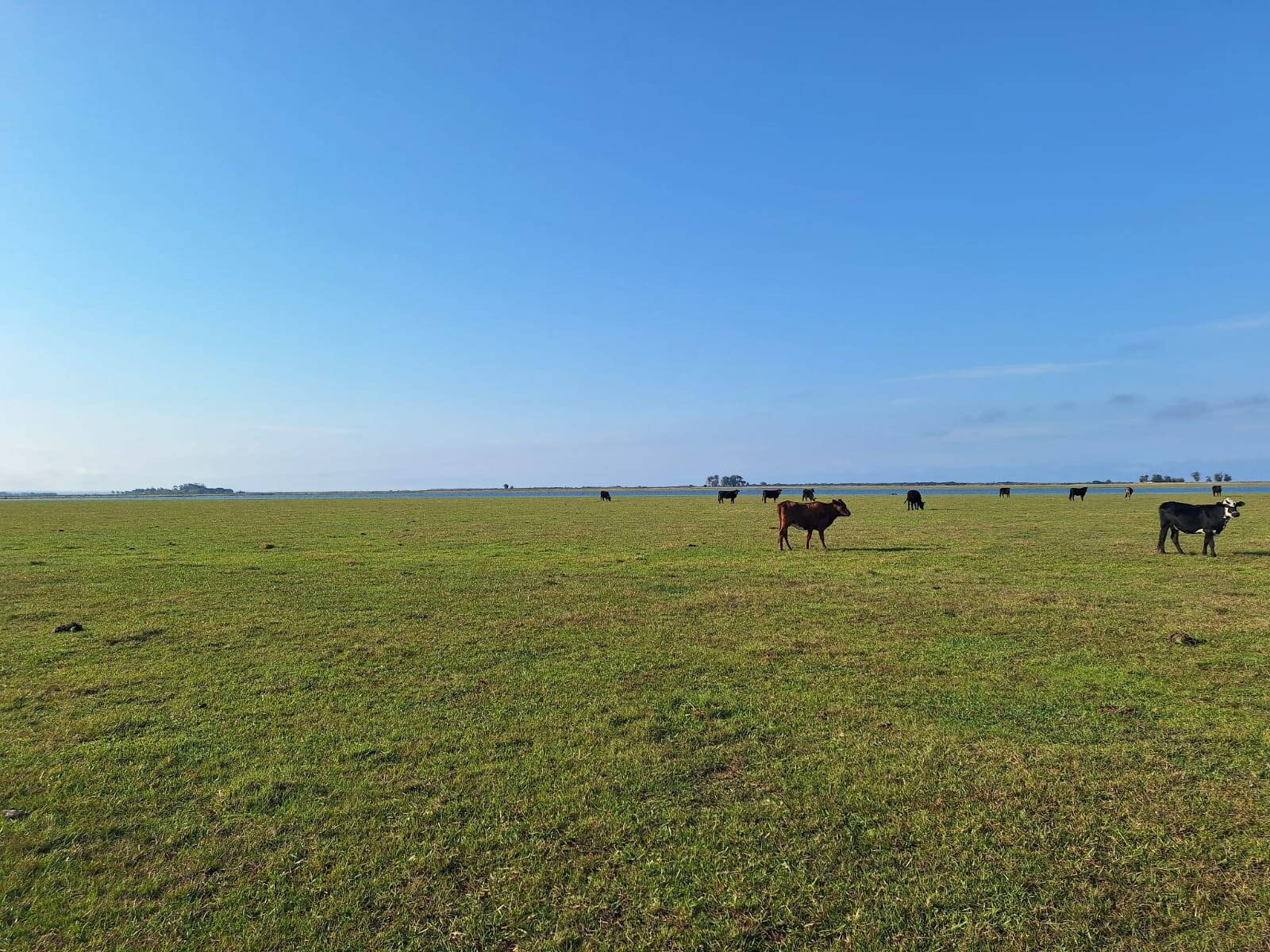 Terreno, 130 m² - Foto 17