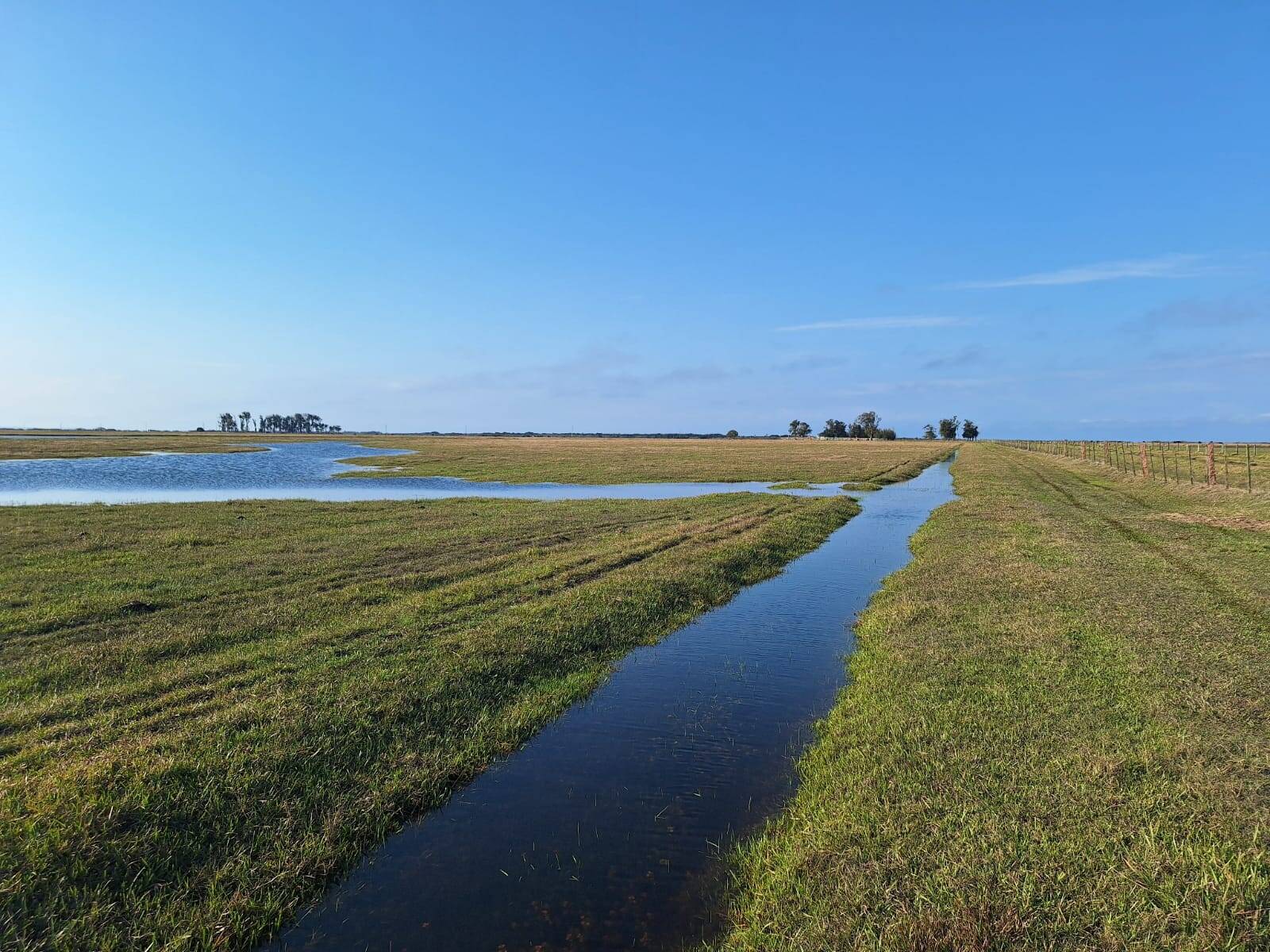 Terreno, 130 m² - Foto 13