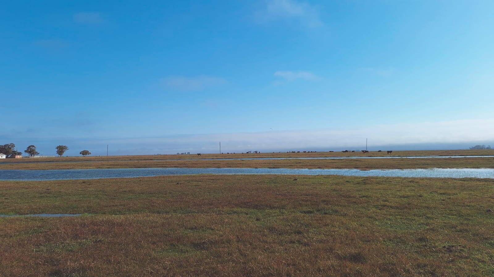 Terreno, 130 m² - Foto 23