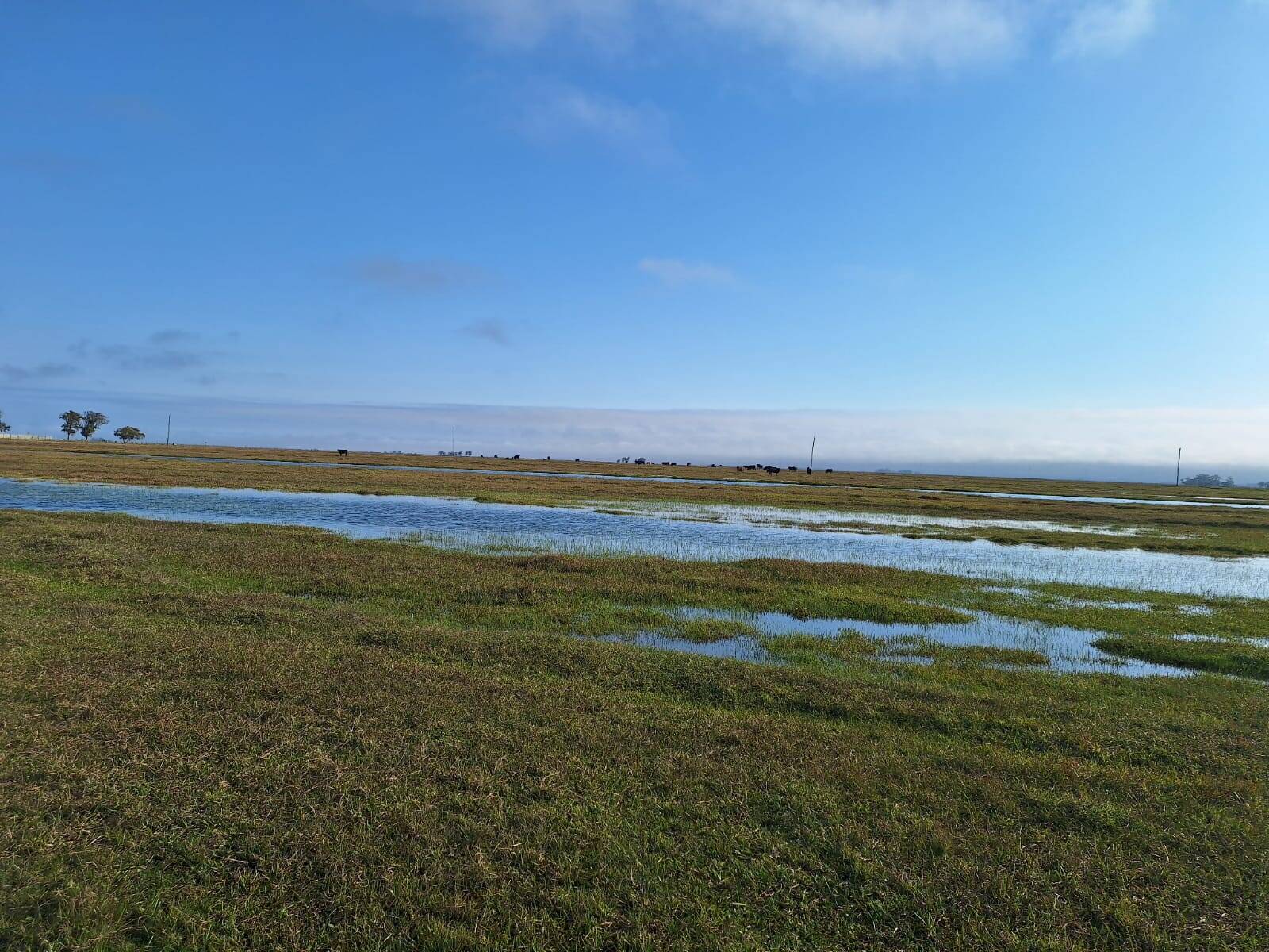 Terreno, 130 m² - Foto 24