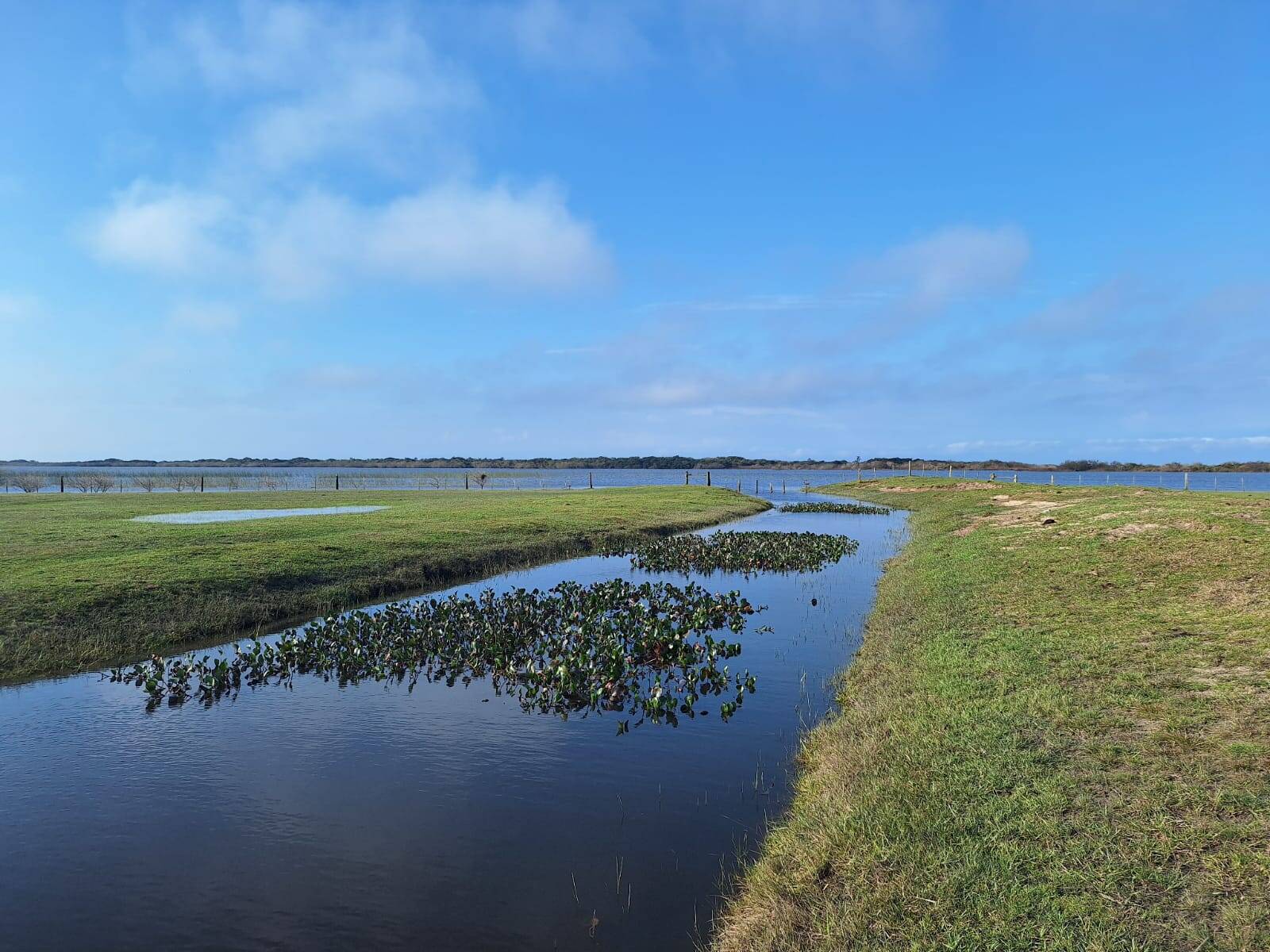 Terreno, 130 m² - Foto 2