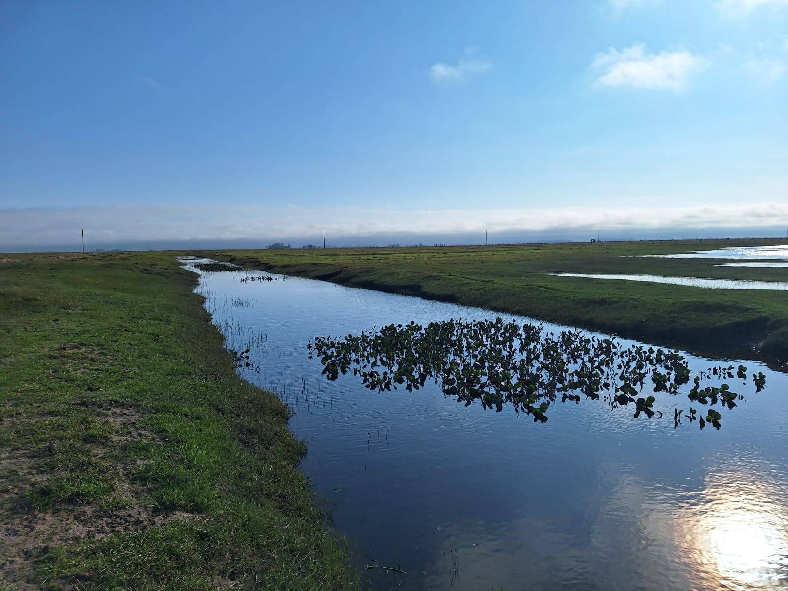 Terreno, 130 m² - Foto 6