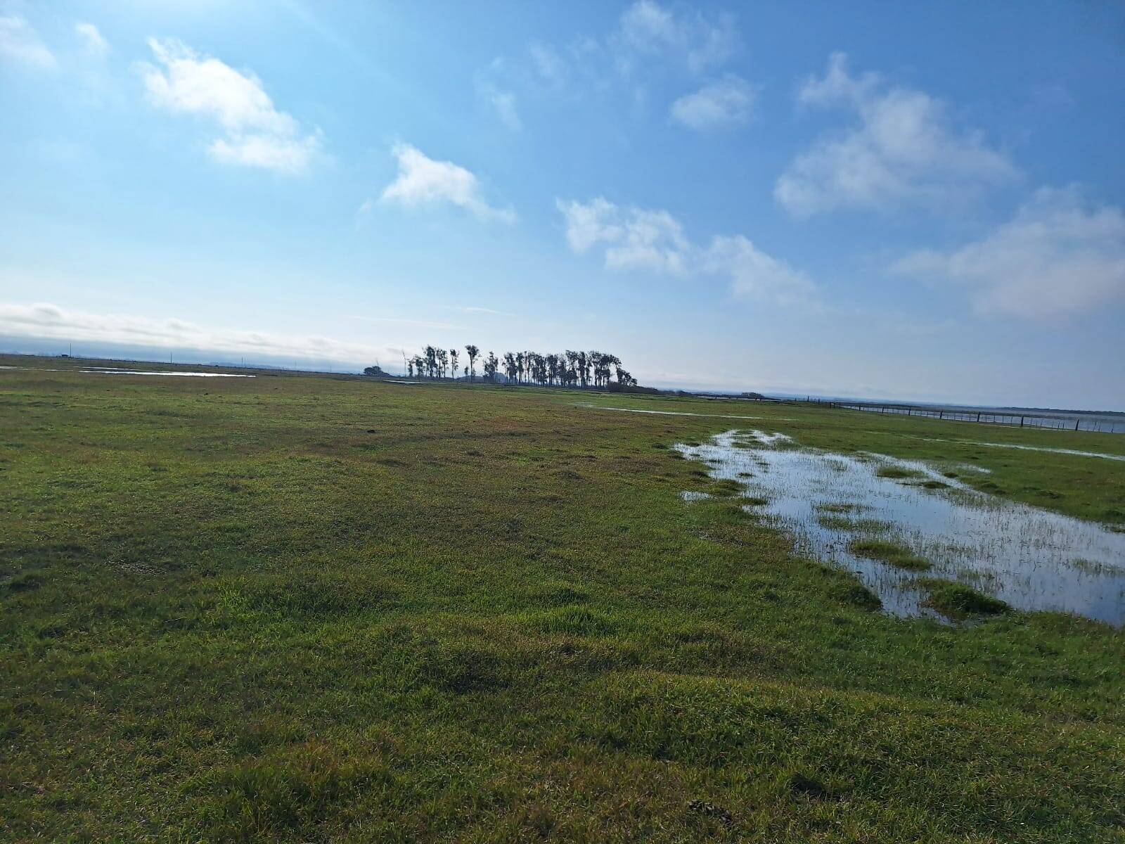 Terreno, 130 m² - Foto 30