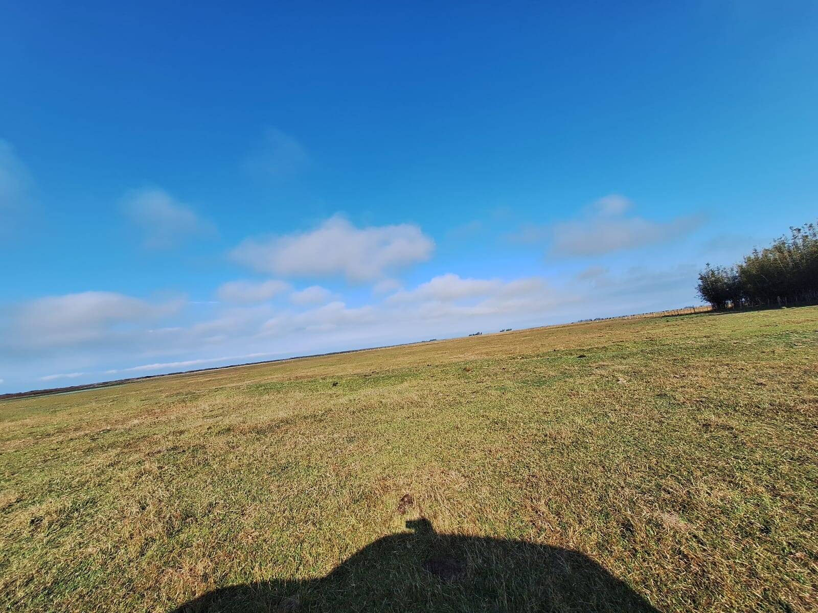 Terreno, 130 m² - Foto 35