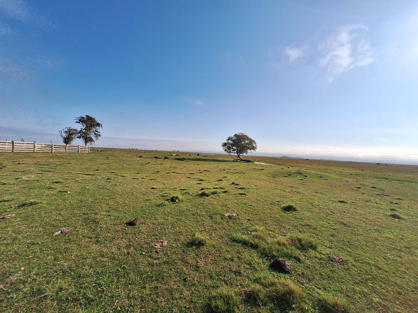 Terreno, 130 m² - Foto 36