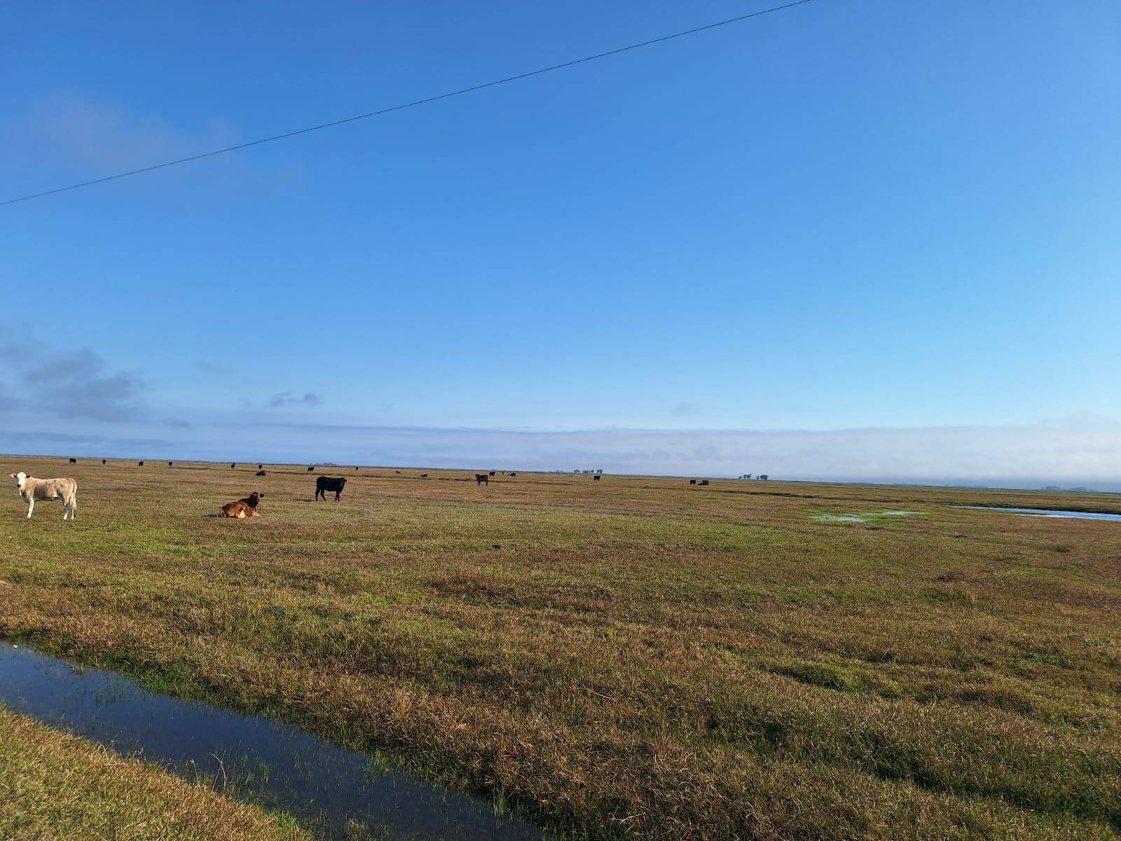 Terreno, 130 m² - Foto 38