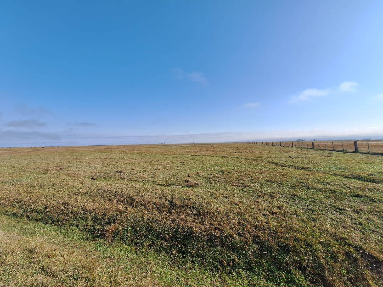 Terreno, 130 m² - Foto 39