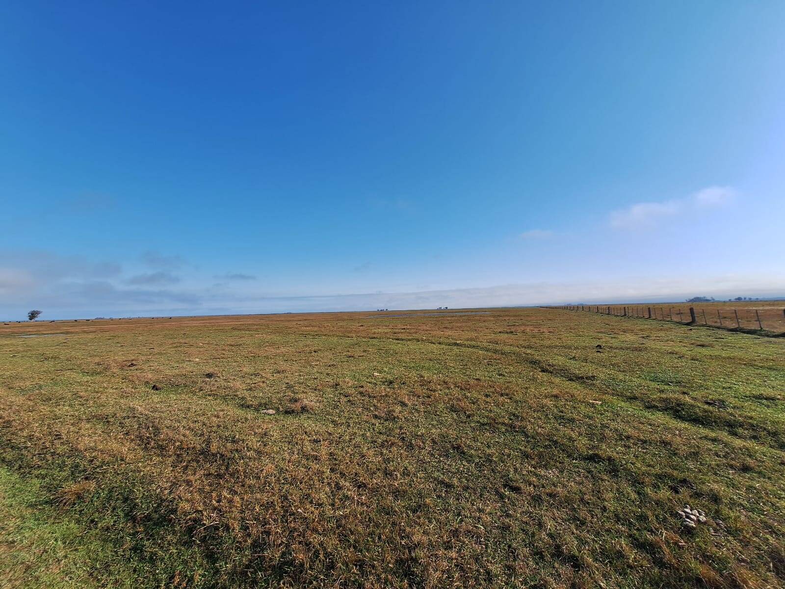 Terreno, 130 m² - Foto 41