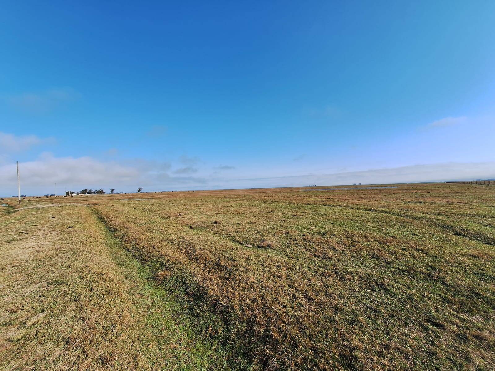 Terreno, 130 m² - Foto 40