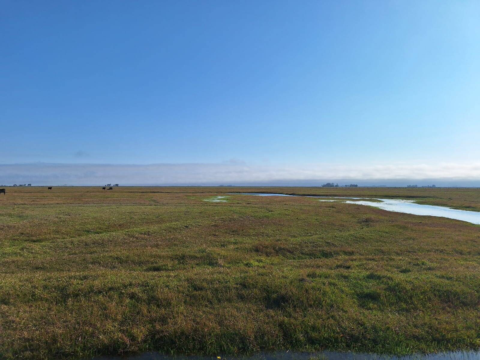 Terreno, 130 m² - Foto 43