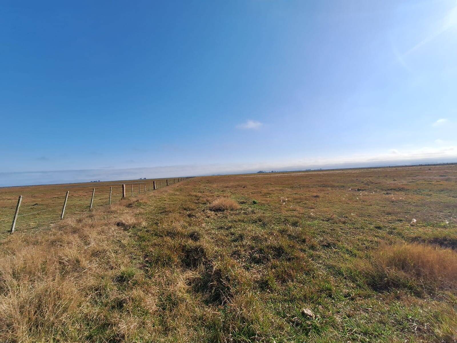 Terreno, 130 m² - Foto 45