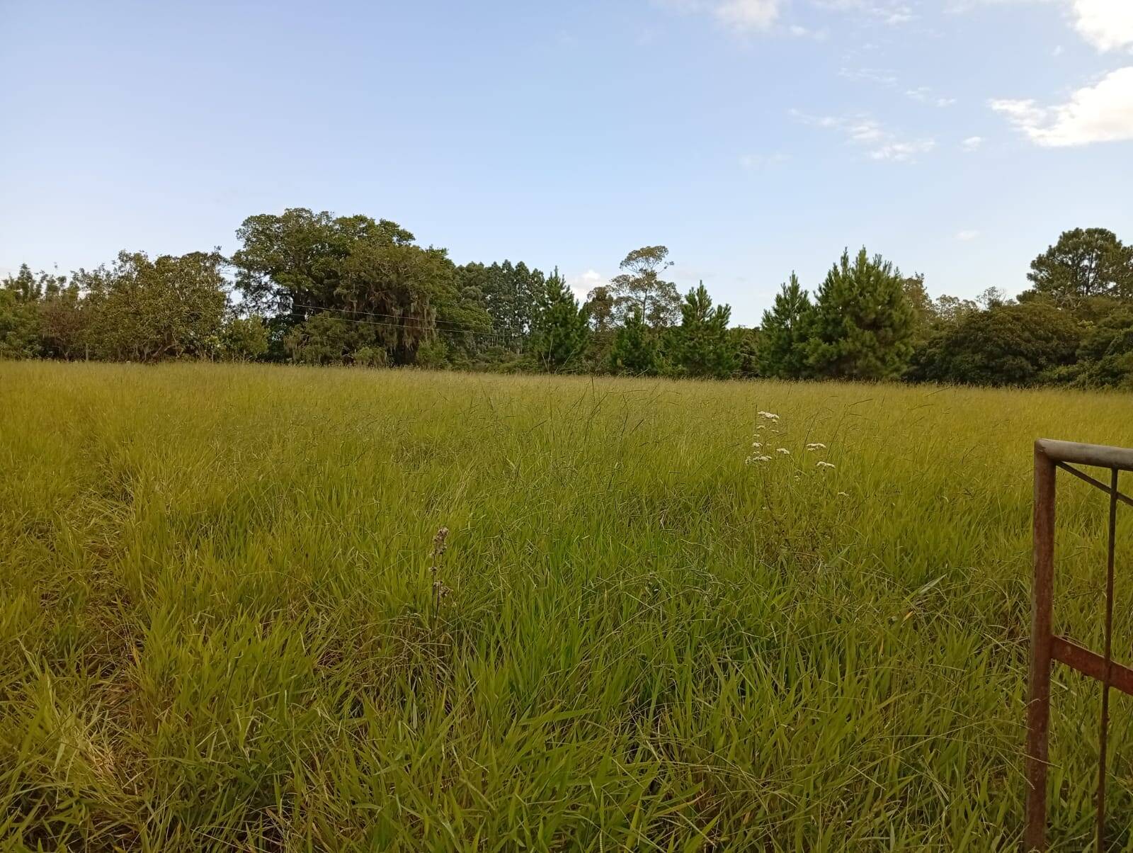 Terreno à venda, 90000m² - Foto 3