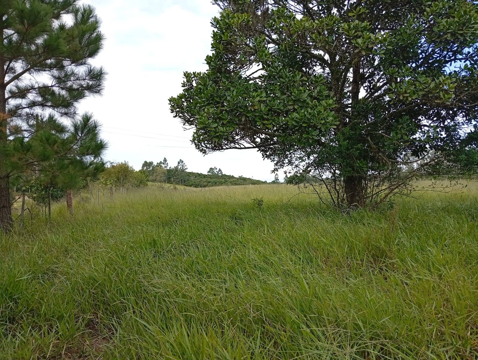 Terreno à venda, 90000m² - Foto 5