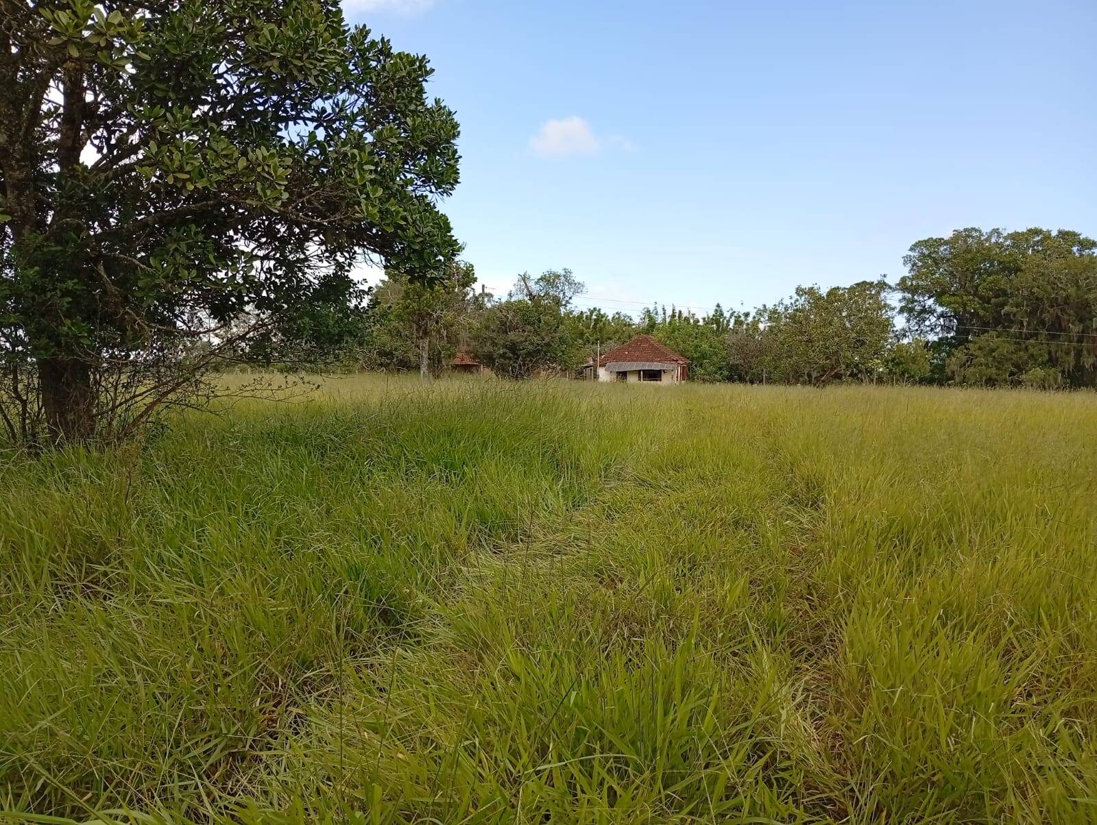 Terreno à venda, 90000m² - Foto 4