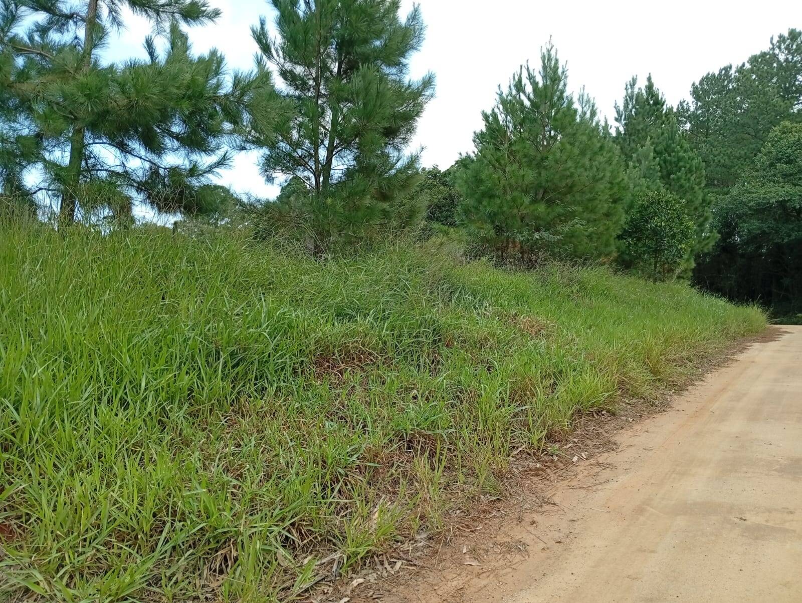 Terreno à venda, 90000m² - Foto 28