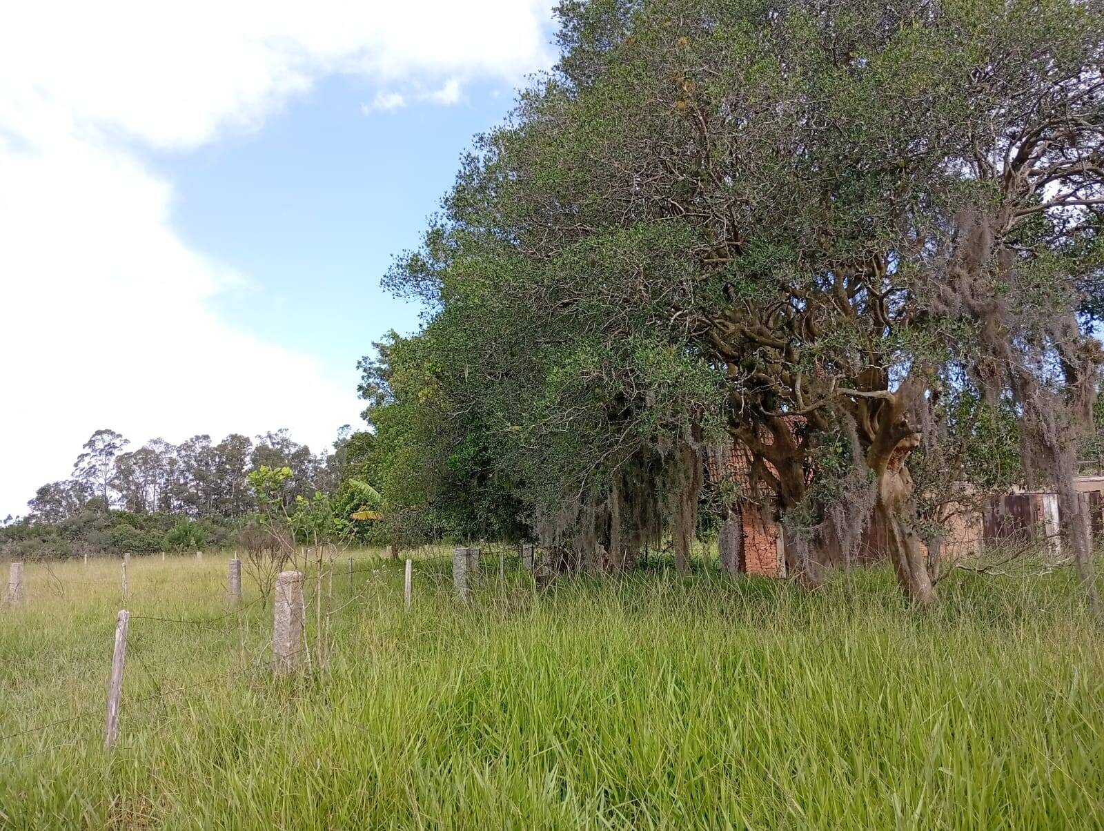 Terreno à venda, 90000m² - Foto 8