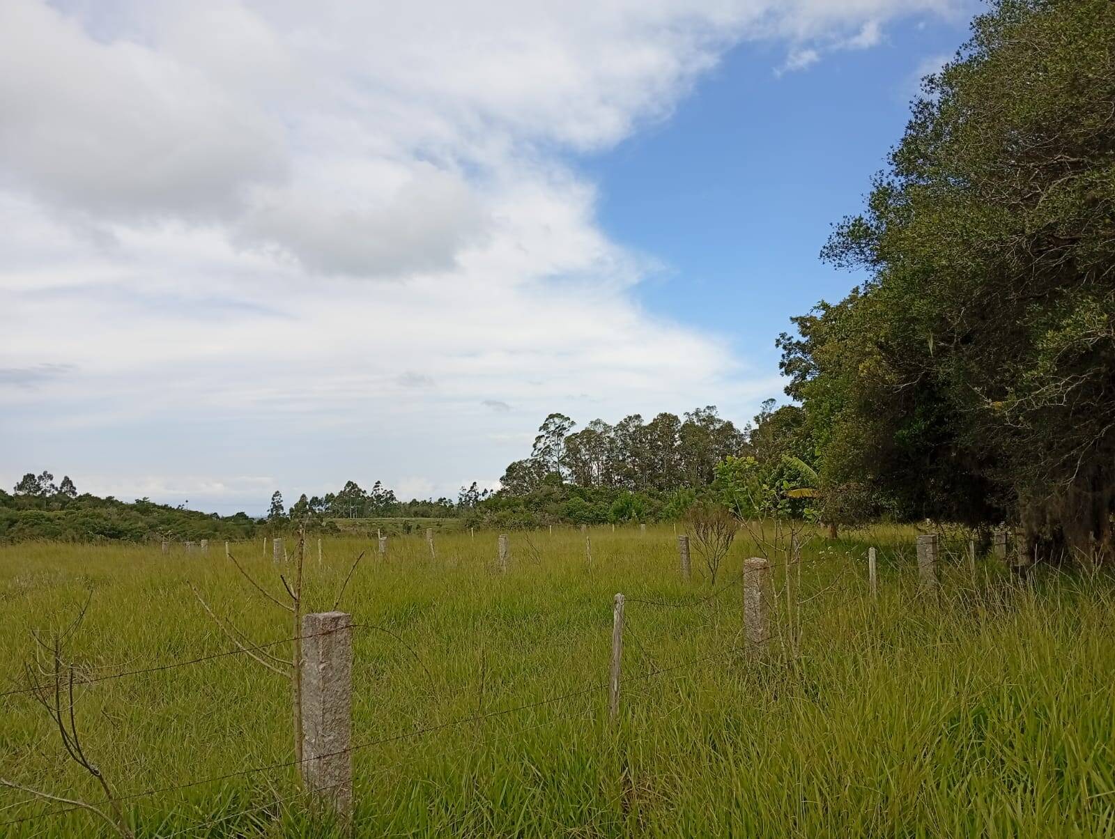 Terreno à venda, 90000m² - Foto 7